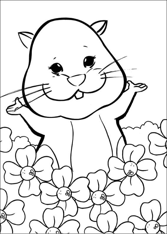 Plansa de colorat cu Hamsteri 41 36